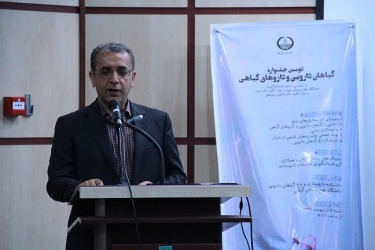 گیلان اولین تولید کننده گیاهان دارویی در کشور گیلان اولین تولید کننده گیاهان دارویی در کشور