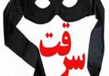 داووددلیری عضو شورای اسلامی امامزاده هاشم : رقم این سرقت دهها میلیون تومان بوده است داووددلیری عضو شورای اسلامی امامزاده هاشم : رقم این سرقت دهها میلیون تومان بوده است