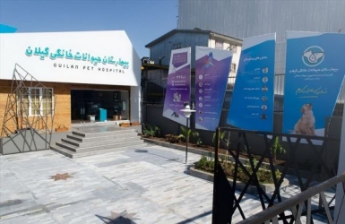 صف گوشت قرمز منجمد یا حضور پرشور در افتتاح بیمارستان حیوانات خانگی!