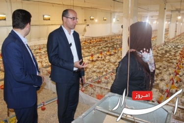 پایداری تولید ، لزوم حمایت همه جانبه مسؤولین را می طلبد