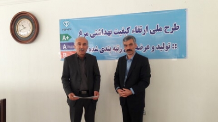 تولید و عرضه گوشت مرغ رتبه‌بندی شده در گیلان آغاز شد