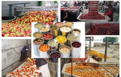 ۱۷ واحد صنایع تبدیلی و غذایی در گیلان راه اندازی شد