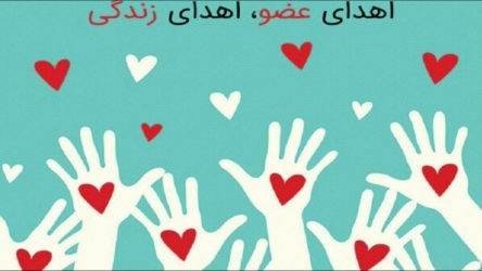 اعضای بدن یک بانوی گیلانی زندگی دوباره بخشید