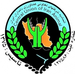 چماقى بنام ماده 146؟!