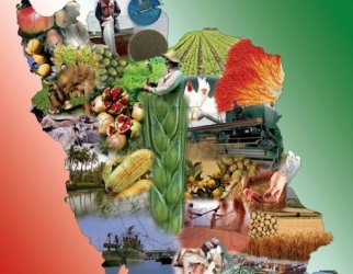 اصلاح یا زورآزمایی؟!