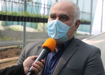 ۳۳ هزار تن کود شیمیایی در بین شالیکاران گیلانی توزیع شد