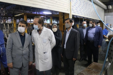 مرغ کشتار شده از مبدأ تا مقصد رصد می شود
