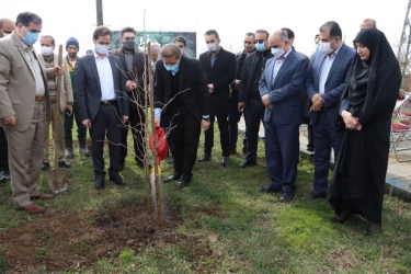 اهتمام شهرداری رشت در افزایش فضای سبز و درختکاری بسیار ارزشمند است