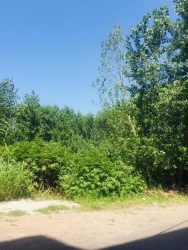 هجوم میلیون دلاری به شهرداری رشت!