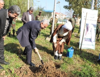 حفاظت از جنگل‌ها و تلاش همگانی برای کاشت نهال ضرورت دارد
