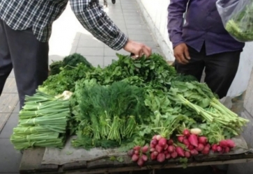  خطر ابتلا به بیماری انگلی فاسیولا