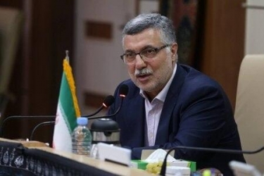 وزیر بهداشت: باید از مهاجرت پنهان در کشور جلوگیری کنیم