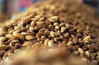 صادرات پسته ایران به دلیل آلوده بودن به سم افلاتوکسین ممنوع شد