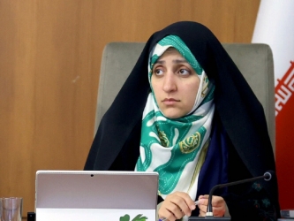 معاون پزشکیان: طرح کلینیک ترک بی‌حجابی با هدف جنگ روانی است وگرنه گستردگی ندارد