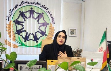 حدود ۲۵۰ تن برنج رسوب شدهٔ کشاورزان گیلانی را خریداری کردیم