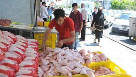دلیل پرواز قیمت مرغ از زبان آقای وزیر