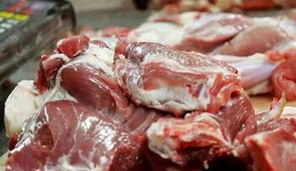 محموله گوشت های فاسد قبل از ورود به کشور برگشت داده شد محموله گوشت های فاسد قبل از ورود به کشور برگشت داده شد