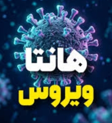 شمار مبتلایان به هانتاویروس به ۱۳ تن رسید