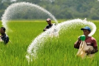 کشاورزان نگران کمبود کودهای شیمیایی نباشند