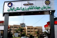 بدترین تصمیم مدیران جهاد کشاورزی گیلان در روزهای کرونایی!