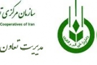 فرار مدیرعامل اتحادیه دامداران استان گیلان از پاسخگویی و تهدید خبرنگار به دادستانی!