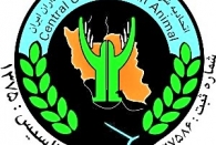 چماقى بنام ماده 146؟!