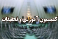 جلسات کاری کمیسیون آموزش و تحقیقات مجلس انقلابی به همراه خانواده در دهکده ساحلی انزلی!