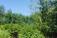 هجوم میلیون دلاری به شهرداری رشت!