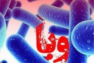  نگرانی از افزایش موارد وبا در آستانه پاییز