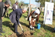 حفاظت از جنگل‌ها و تلاش همگانی برای کاشت نهال ضرورت دارد