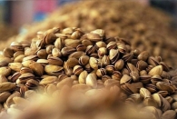 صادرات پسته ایران به دلیل آلوده بودن به سم افلاتوکسین ممنوع شد