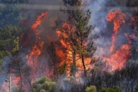  آتش دوباره در جنگل های ماسال برافروخته شد