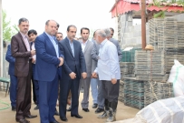اولین کشت مکانیزه شهرستان رشت با حضور فرماندار آغاز شد