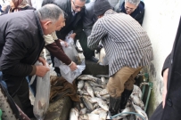 هفتمین جشن برداشت ماهی در روستای تازه آباد خواچکین خمام برگزار شد